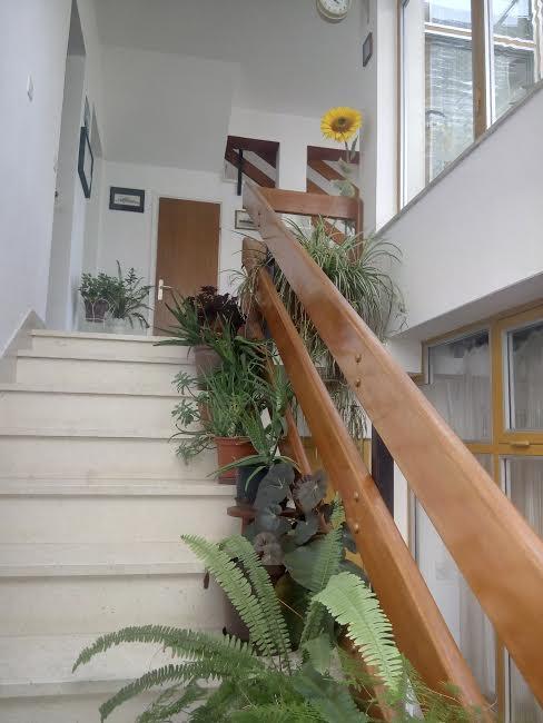 Apartmani Maretimo プリモシュテン エクステリア 写真
