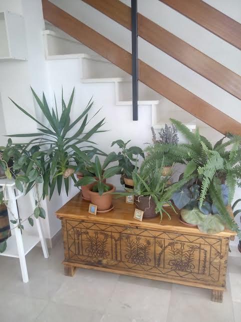 Apartmani Maretimo プリモシュテン エクステリア 写真